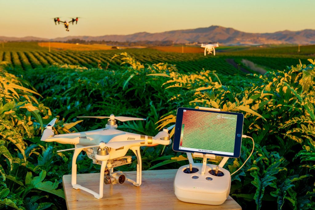 Drone